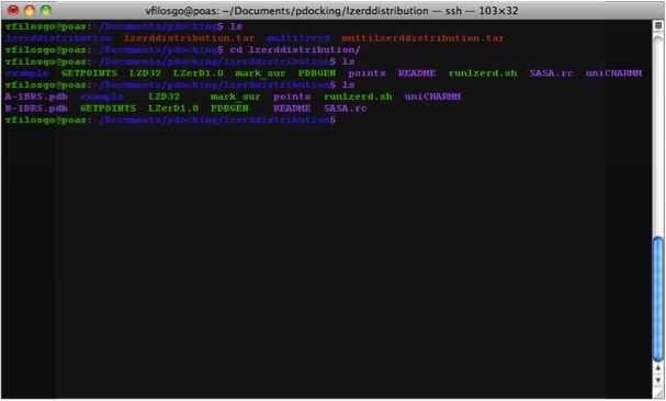 PDB files in the project directory